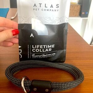 Atlas Lifetime Dog Collar